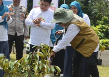 Tanam Bibit Pohon, Ketua TP PKK Lebak Ajak Masyarakat untuk Peduli Lingkungan