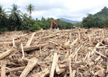 Waka Komisi IV DPR Usul Panja Penelamatan Hutan Terkait Bencana Sumatra