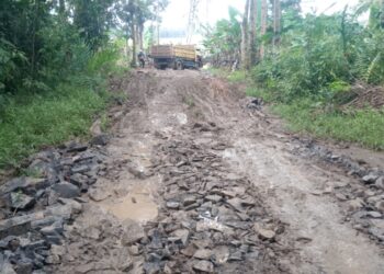 Serap Dana Desa Hampir Rp1 Miliar, Program JUT di Desa Cikeusik Diduga Bermasalah, AMBAS Akan Laporkan ke APH