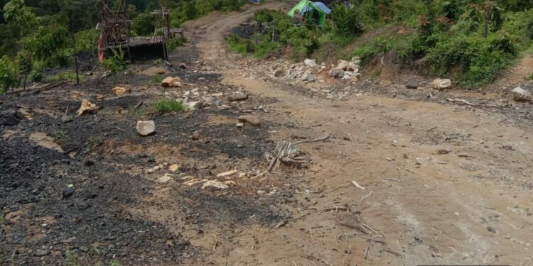 Diduga Jadi Pintu Masuk Penambang Batu Bara Ilegal, Puluhan Lubang Menganga Ditengah Kawasan Hutan Perhutani di Kecamatan Bayah