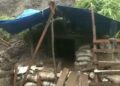 Waduh, Tambang Emas Diduga Ilegal di Gunung Guruh Cigudeg Gagah Beroperasi